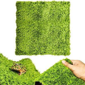 ঒��� �}�b�g ����p �Q�� �l�H�� �ێ��z�� �e�����E���Q�� �􂦂� �ʋC�� �J�G�� �J�� �w�r ��������