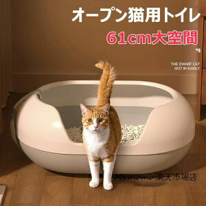 LgC { lRgC LpgC LbggC ^ LgC юUȂ RpNg TALL WALL BOX lR ˂ Jo[ 􂦂