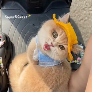  F Xq Lbv Lp p ybgp o U 悯 Ăh~ UVJbg oPbgnbg wbhMA Ԃ ĕ ANZT[ i t@bVACe L