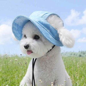 Ă̋爤 ^ q gCv[h rVt[[ɍœKȎo΍LoPbgnbg Ăh~ O΍ 悯Xq 񂿂pT}[Lbv