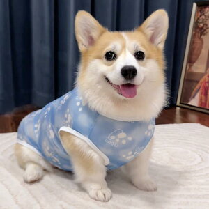 R[M[ Čp hbOEFA  m ėp ĕ  y xXg ^Ngbv ^ ^ ^ ^ gCv[h S[fgo[ _bNXth 