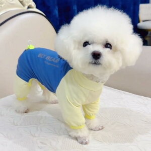 ^p hbOEFA t   UVJbg Ă~ SgJo[ p[X lr^Cv Ђ ڐG⊴ N[f  ΍ U o gCv[h rVt[