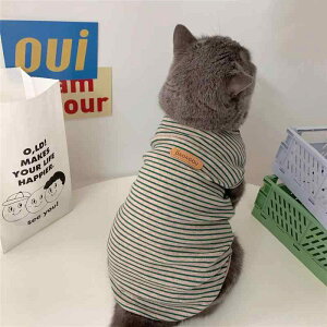 Ă̏΍  Rbg Lp ^ q qL gCv[h rVt[[ ueBbVV[gwA VAu[ ʋCK xXg ^Ngbv