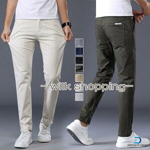 SD] StEFA Y Xgb` Sn pc Stpc O Lkǂ ʋC JWA jp am v[g