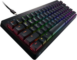 �G���R�� �Q�[�~���O�L�[�{�[�h �L�� V-custom VK300S RGB �e���L�[���X 65%�T�C�Y ���J�j�J�� �l�I�N���b�`�L�[�L���b�v �⎲ �X�s�[�h���j�A USB�|�[�g���� TK-VK300SBK �y�z�����A�z