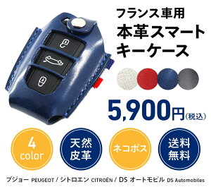 vW[ VgG DS X}[gL[P[X {v U[ 208 308 508 3008 5008 C3 C4 DS3 DS4 DS5 DS7 X}[gL[ Jo[ nhCh t | Peugeot Citroen DS L[P[X 킢 tX 