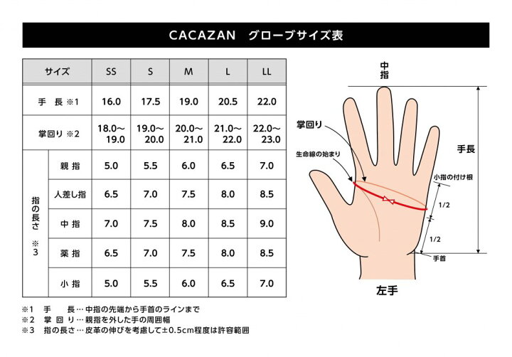 楽天市場】CACAZAN BAZOOKA-003 ウィンターモデル ブラック×シルバー 