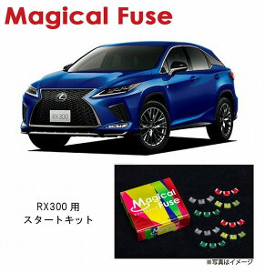 �y�������K�̔��X�E���������z�@�}�W�J���q���[�Y�@�X�^�[�g�L�b�g�@���N�T�X RX300�@AGL20�@MFL070�@23��