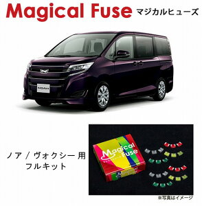 �y�������K�̔��X�E���������z�@�}�W�J���q���[�Y�@�t���L�b�g�@�g���^ �m�A / ���H�N�V�[�@ZRR80�@MFTF138�@59��