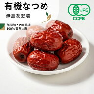 有機なつめ 無農薬 無添加 なつめ オーガニック ドライなつめ 新疆和田産 有機JAS認証 自然乾燥 鉄分 葉…
