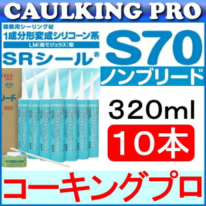 RjV TCY SRV[ S70 mu[h 320ml × 10{