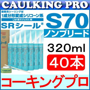 RjV TCY SRV[ S70 mu[h 320ml × 40{