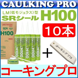 RjV TCY SRV[ H100 (333mlj×10{ + El̎dグobJ[ ×1{