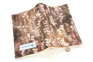 ubNJo[ XXĽ@z @JX ɖ{TCY