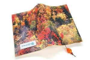 ubNJo[ RAR@z @JX ɖ{TCY