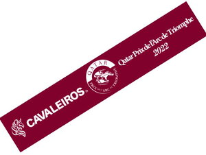 �y�M����܋L�O�z�f�B�[�v�{���h�}�t���[�^�I�� DEEPBOND �����V�������n�ꔭ���o�[�W���� DeepRed (���n)