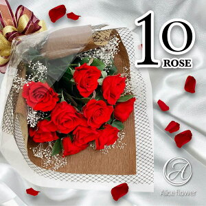  vU[uht[ o 10(10{) K̉ԑ Mtg [Yu[P t[AWg KN ԑ u[P ԑ ALICE FLOWER_AXt[  AWg Mtg 蕨 N ʔ