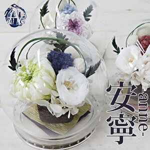 菊 お供えの人気商品 通販 価格比較 価格 Com