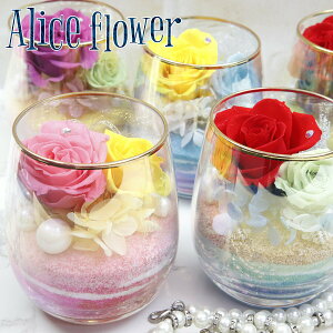  vU[uht[ tt OX AW Mtg KX õAWg J[Th a v|[Y j j j  o ԕr CeA G  