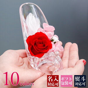 av[g  KX̌C 傫ȃö vU[uht[ Mtg  o  O bZ[W P[X j v|[Y av[g a  