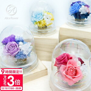 yP3{z  vU[uht[   ~j d ~ ފ @ V~ ~ r r  ybg [Y o  ͂Ȃ  Mtg av[g