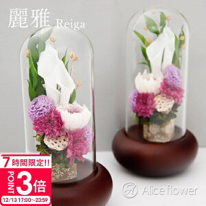 �yP3�{�z���� �v���U�[�u�h�t�����[ ���d�p �K���X�h�[�� �傫�� �~�j���d ������ �� �䋟 �� ���� �v���U�[�u�h�t�����[ ���� ������ �A�����W�����g �a�� ���_�� ���� �v���U�[�u�h�t����