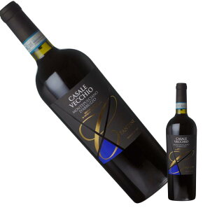 JT[ FbLI ev`A[m _ubcH2022 lC̐ԃC s[^[o _̎ ^ i\