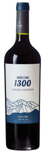 [2021] Af[i Jxl \[Bj  750ML A[` ԃC lCC s[^[o@\G @v[g [J[
