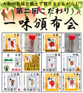 2025NxƂ񂪂炵ĤꖡЕz2025N2`2026N1S12