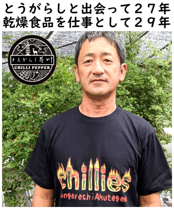 タイムセール 半額 楽天市場】ハバネロ（オレンジ）一味粉末 20g 普通・定形外 野菜
