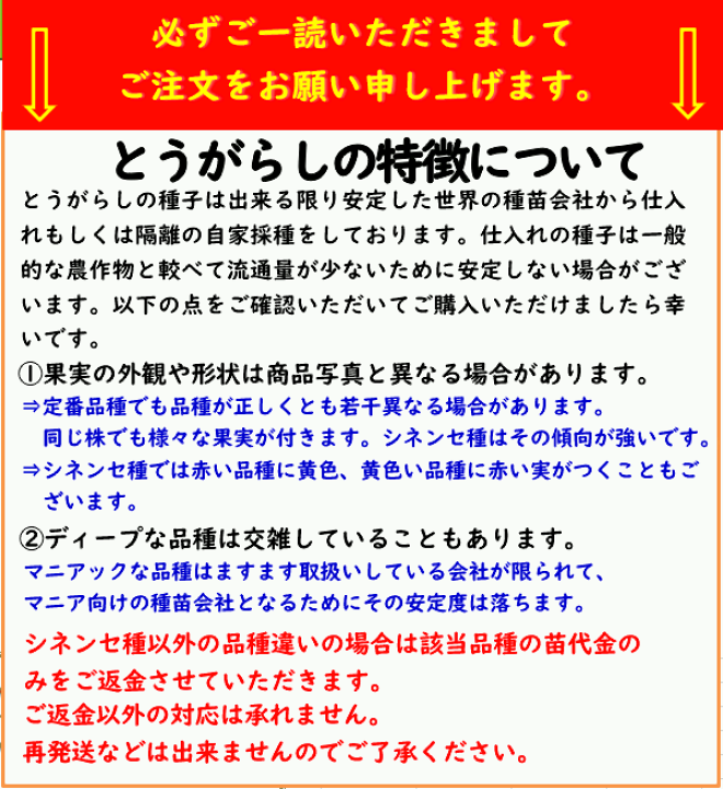 チェリー　　4点　7月25日まで 22/7(ナナブンノニジュウニ)