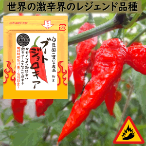 u[gWLA 10g@_EL@엿gp ꖡ@ʁE`OX֑IIcƓ͕słB