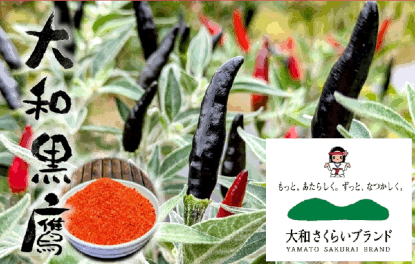 楽天市場 | とんがらし 芥川 - とうがらし専門の農園です。プロとして