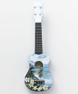 KahikoX [nCAEN] JqR nCA nCAG G/CeA ̑CeAG 4HCP3717