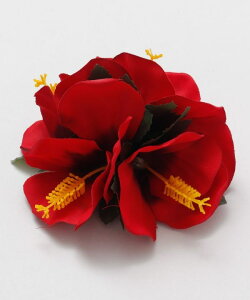 MaunaloaX [xxbgnCrXJXNbv] }EiA t t_Xߑ bXpi Maunaloa NbvEsbN YCDZ0308