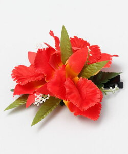 MaunaloaX [mwAI[LbhNbv] }EiA t t_Xߑ bXpi Maunaloa NbvEsbN YCKZ0326