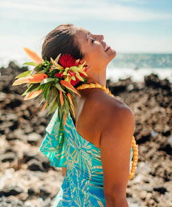 MaunaloaX [p_CX[tNbv] }EiA t t_Xߑ bXpi Maunaloa NbvEsbN YCKZ2101