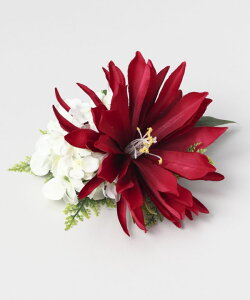 Maunaloa�����X [�f���b�N�X�Q�b�J�r�W���N���b�v] �}�E�i���A �t�� �t���_���X�ߑ� ���b�X���p�i Maunaloa �N���b�v�E�s�b�N YCYZ2101