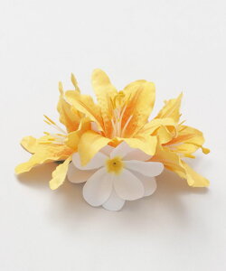 MaunaloaX [[Nbv] }EiA t t_Xߑ bXpi Maunaloa NbvEsbN YCKZ5104