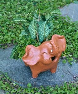 `CnlX [NC]EJo[L] GXjbN AWA {w~A CeA CeAG TXXP5618