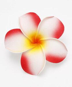 MaunaloaX [vANbv] }EiA t t_Xߑ bXpi Maunaloa NbvEsbN YCYZ4303