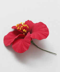 MaunaloaX [nCrXJXwAsbNM] }EiA t t_Xߑ bXpi Maunaloa NbvEsbN YCYZ4310