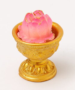 y10%OFFN[| 11.20 20:00`11.27 1:59z`CnlX [[^XX^hM] GXjbN AWA {w~A CeA /tOX/RX CYWP5808