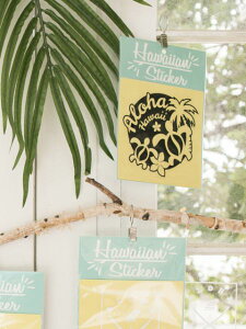 AnzkXebJ[ yKahikoXz nCA 4JDP8101T[t{[h  gN fBP[XebJ[ zk