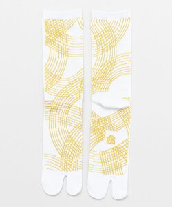 y10%OFFN[| 11.20 20:00`11.27 1:59z`JX [n߂̐܁i25-28cmj] a a_ a g _ a a m ag J܁ij @i25-28cmj 7JKP2328