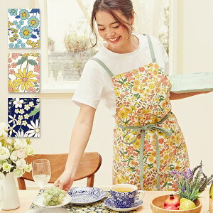 Gv ̓ 2022@[NGv t[TCY ۈm K[fjO v[g Mtg k Lb`Gv@NbLO JtFGv ԕ@LISP1254yBqHXz