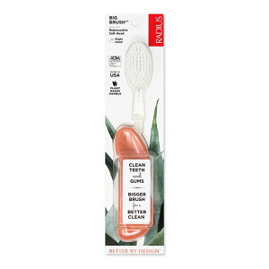 ���f�B�E�X �r�b�O �u���V �E��p �V�[�V�F���R�[���� Radius Big Brush Right Hand Seashell Coral ���u���V �\�t�g�� �E�����p