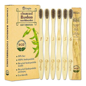 �����M�g �i�`�������`���R�[���o���u�[���u���V 6�{���� Lingito 6-Pack Natural Charcoal Bamboo Toothbrushes �\�t�g �Y �| �������