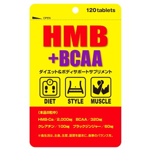 HMB+BCAA ubNWW[ N`C_ _CGbg {fBCNT|[gTv HMB-Ca BCAA NA` ubNWW[ ؓ ؃g e  K{A~m_