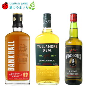 yz6,800~ ECXL[ݔ 3{Zbgy|z